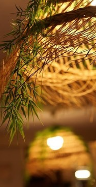 Le restaurant - Le Patio - restaurant ANTIBES