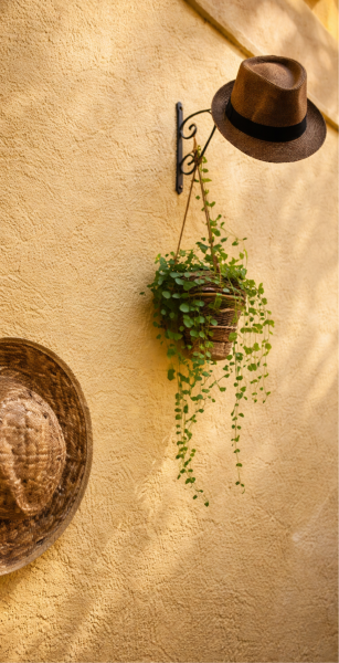 Le restaurant - Le Patio - restaurant ANTIBES